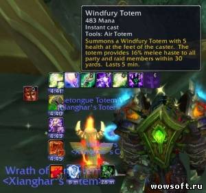 TotemTimers для WoW 4.2.2