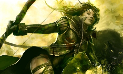 Guild Wars II : 2 миллиона копий уже продано!